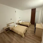 Otel Ivankovic 3*