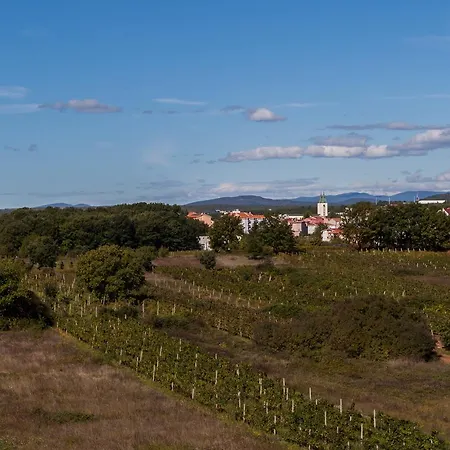 Szálloda Ivankovic 3*