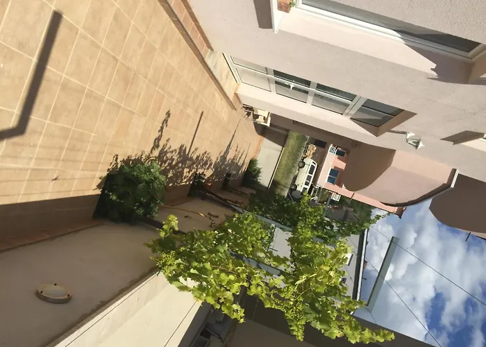 ホテル Ivankovic 3*