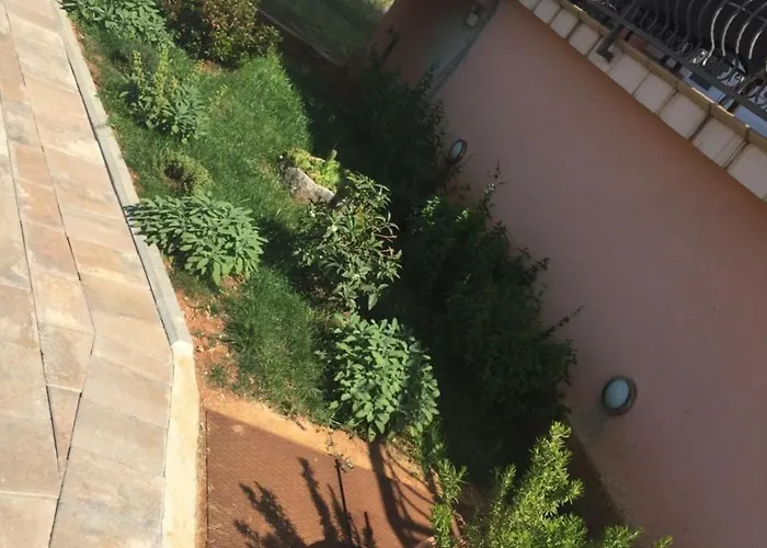 ホテル Ivankovic 3*